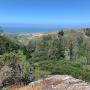 Overlook from a vista point. Credit: Bureau of Land Management