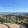 AJ’s Point of View overlook at Byrne-Milliron looks forward to your visit after the timber harvest. Credit: Land Trust of Santa Cruz County.