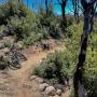San Vicente Redwoods features trails suitable for mountain bikers of all skill levels. Photo by Bridget Lyons.