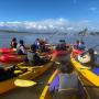 Save Our Shores extended its educational offerings by piloting a Junior Sanctuary Steward program. Credit: Save Our Shores.