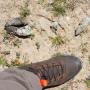A size 10 boot measures up to size Large scat, likely from a mountain lion, on Rocks Ranch. Photo by Mike Kahn.