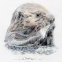Otter by Brittany Costanzo