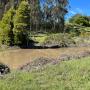 A seasonal ponding area provides breeding habitat. Credit: Land Trust of Santa Cruz County.