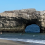 The trail is an important connector to places like Natural Bridges State Beach. Photo courtesy of Friends of the Rail & Trail.