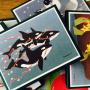 Wondering how to say "I live in a cooler place than you do and oh, Happy Holidays"? Let Crane Creek help with these awesome cards in orca, sea otter, fox, dolphin and assorted other flavors. 