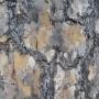 The jigsaw-puzzle bark of the ponderosa pine: a frequent sight at Henry Cowell and Quail Hollow, but otherwise seldom seen on the coast. Hilltromper photo.