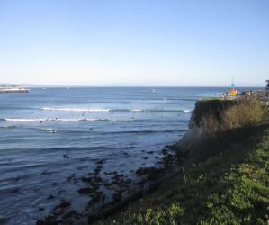A mob of longboarders on a sunny day at Cowells surf break. Photo credit: Hilltromper