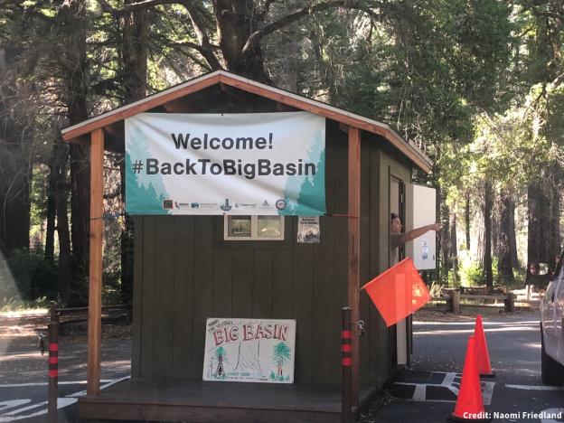 Big Basin Redwoods State Park welcomes visitors after the CZU Lightning Complex Fires in 2020. Credit: Naomi Friedland