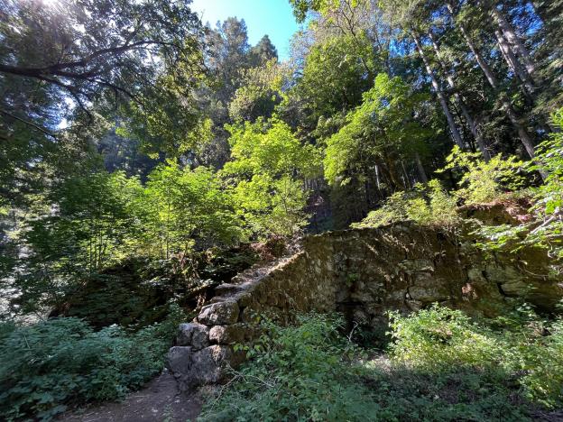 History in nature: the lime kilns at Fall Creek. Santa Cruz Museum of Natural History photo.