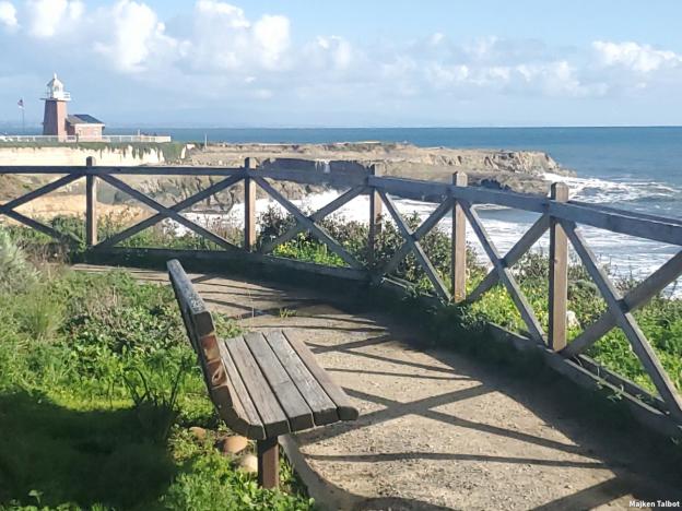 Winding its way from Natural Bridges State Beach to the Santa Cruz Wharf, with plenty of benches providing incomparable views, West Cliff Drive is one of the prettiest streets in the world. Credit: Majken Talbot.
