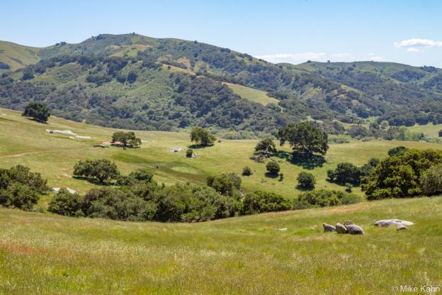 The majestic 2600-acre Rocks Ranch property with its grasslands, oaks, and, yes, rocks. Photo by Mike Kahn.