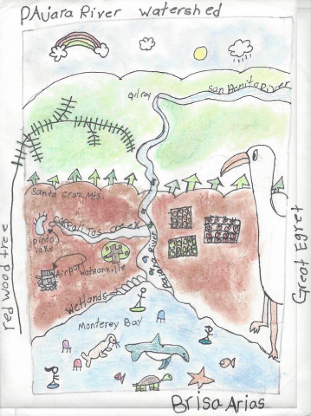 Full view of "Pajaro River Watershed" by Brisa Arias