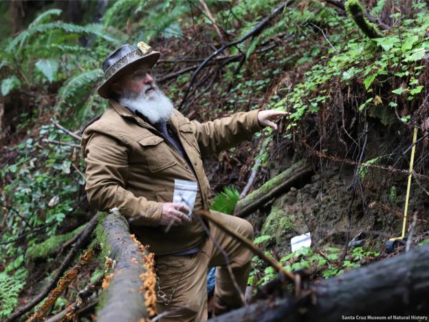 Wayne Thompson, Paleontology Collections Advisor, Santa Cruz Museum of Natural History. Courtesy of the Museum.