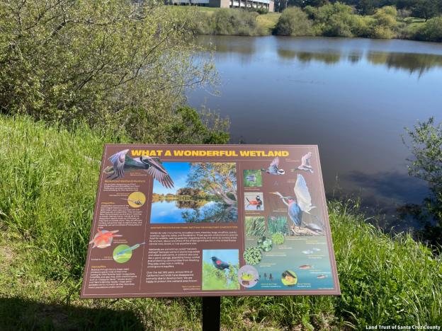 New interpretive signs at Antonelli Pond deepen the experience. Credit: Land Trust of Santa Cruz County.