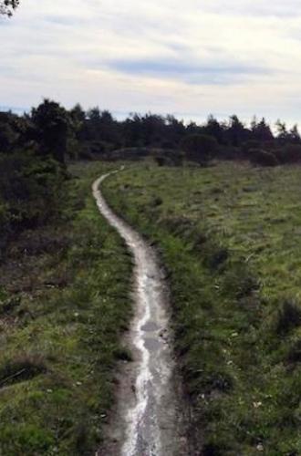 Ocean vista from post-rain Wilder Ranch trails.