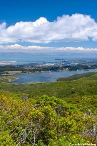 View of the San Francisco Bay from the Sweeney Ridge Overlook. Credit: Samuel Herzberg