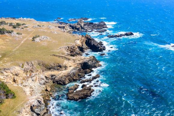 The Monterey Bay National Marine Sanctuary has served as a setting for decades of conservation history. Photo courtesy California Marine Sanctuary Foundation.