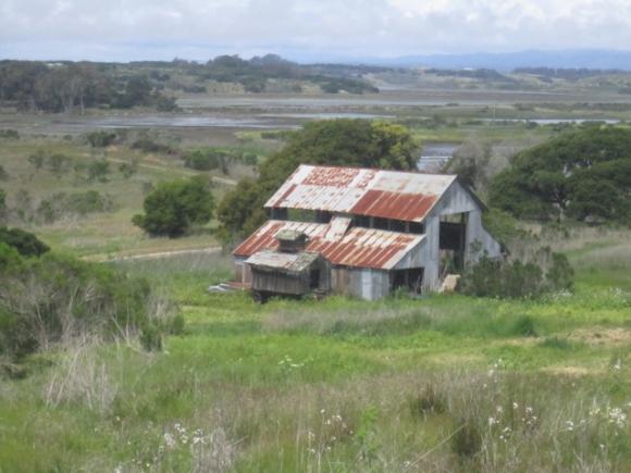 An old barn (two, actually) greet you near the start and end of the South Marsh Loop. Hilltromper photo.