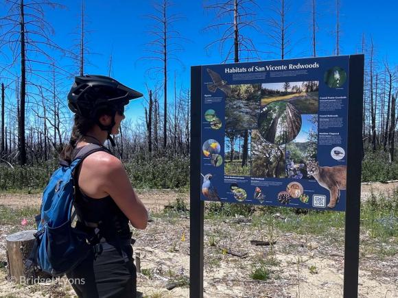 Checking out the Habitats of San Vicente Redwoods interp panel. Photo by Bridget Lyons.