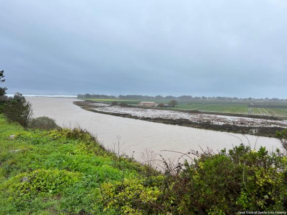 Pajaro River rising adjacent to Beach Ranch during winter storms. Credit: Land Trust of Santa Cruz County.