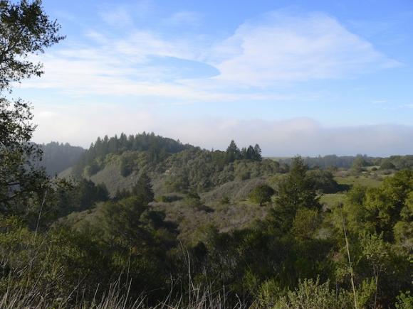 On April 21 the Santa Cruz County Supervisors consider a resolution in support of designating the Coast Dairies property a national monument. Photo courtesy Santa Cruz Redwoods National Monument Campaign.