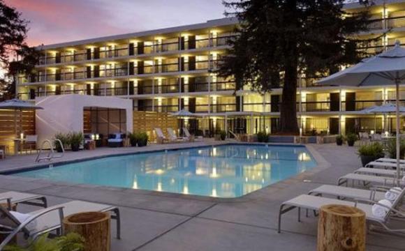 The Hotel Paradox pool makes a mighty fine place to relax after a long day of big-wave spectating. 