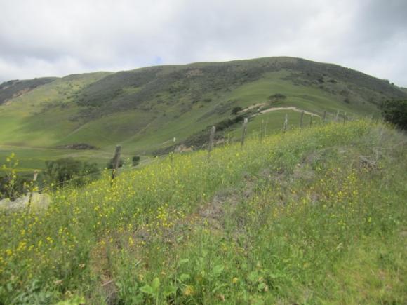 Open space districts can protect ag lands as well as establish parks. Hilltromper photo.
