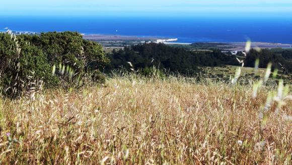 view from Wilder Ranch State Park mountain biking trail