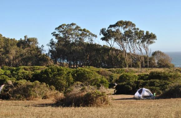 Manresa Upland campground has some spectacular sites. Photo by Garrett McAuliffe.