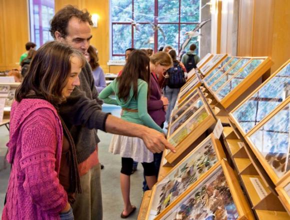 Museum, classroom, library of flora and fauna—the Norris Center fills many roles.