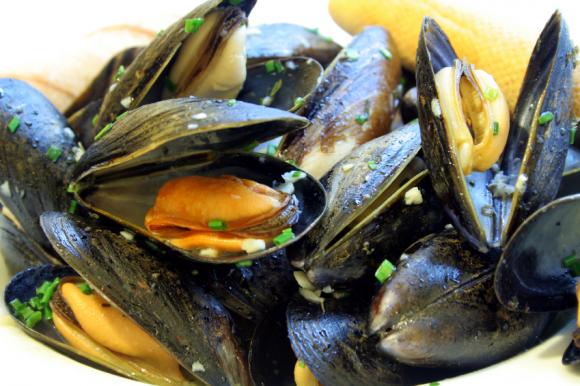 Steamed mussels: good tasting, and now good for the planet too. 