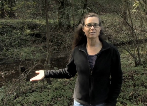 Kristen Kittleston, a fishery resource planner for the county, explaining why the 50-foot buffer zone around waterways is a good thing (even if it does cramp your grand plans for a place literally ON the river).